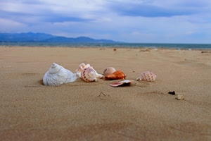 conchiglie, spiaggia, sabbia, mare, cielo, nuvole, montagne