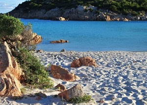 spiaggia, sabbia, mare, rocce, acqua, scogli, erba, sassi, verde, piante