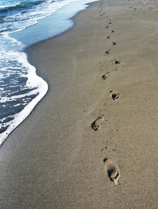 orme, mare, sabbia, spiaggia, schiuma, acqua, onda, impronte
