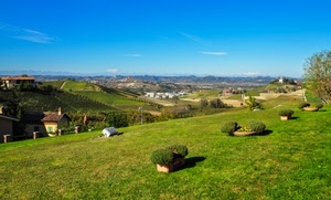 panorama, prato, case, verde, vasi, cielo, piante, erba