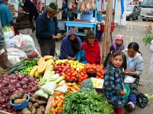 mercato, verdura, persone, frutta, ortaggi, rosso, verde, bambini, donne, giallo, bancarella, bambine, viola, patate, carote, cipolle, pomodori, cappelli, colori, banchi