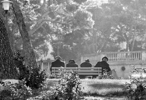 panchina, anziani, alberi, bianconero, piante, parco, balaustra, lampione, quattro, persone, tronchi, giardino, uomini, erba, prato, cappelli, sfocato