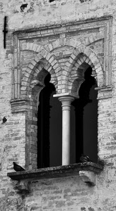 bifora, finestra, bianconero, colonna, piccioni, colombi, piccione, mattoni