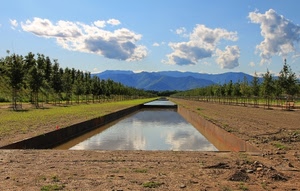 acqua, alberi, nuvole, montagne, cielo, verde, vasche, terra, prospettiva