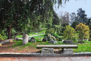 panchina, alberi, parco, verde, giardino, sassi, pietra