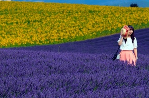 cappello, giallo, fiori, lavanda, donna, ragazza, viola, girasoli, rosa, gonna, campi, azzurro, campo, bicolore, verde, bianco, capelli, lilla, coltivazione