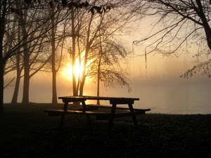 alberi, sole, panchina, controluce, tramonto, tavolo, acqua, nebbia