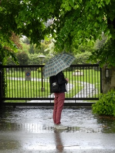 pioggia, ombrello, cancello, alberi, acqua, foglie, verde, pozzanghera, persona