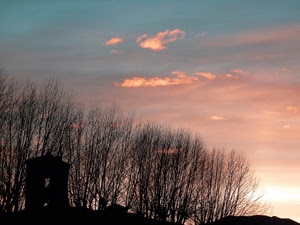 alberi, nuvole, cielo, tramonto, rami, controluce, campanile
