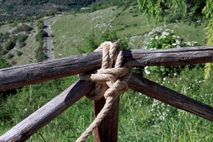 corda, erba, strada, legno, staccionata, verde, nodo, alberi, prato, fiori, cespugli, piante, prati, steccato, fune, montagna, rami