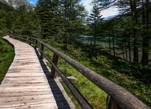 alberi, legno, verde, erba, passerella, cielo, staccionata, acqua, assi, bosco, sentiero, pini, parapetto, abeti, fiume, lago, montagna, montagne, steccato, rami