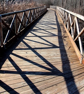 legno, ponte, ombre, ombra, alberi, staccionata, geometrie, corrimano