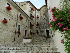fiori, finestre, scalinata, rose, porte, gradini, scalini, scala, case, vasi, piante, rosso, torre, palazzi, borgo, balconi, verde, foglie, rosa