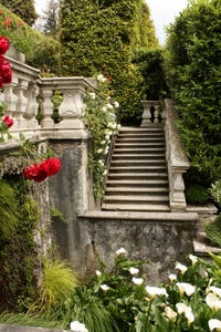 fiori, gradini, scala, piante, scalinata, verde, scale, balaustra, rose, siepi