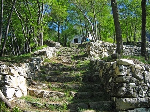 alberi, gradini, pietre, verde, scalinata, casa, sassi, scala, bosco, pietra