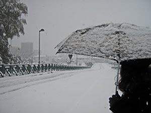 neve, ombrello, strada, lampione, bianco, inverno