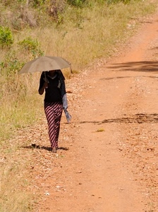 ombrello, strada, righe, sterrato, donna, sole, sentiero, camminare, erba, ragazza