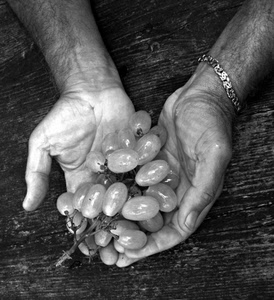 uva, mani, bianconero, acini, braccialetto, bracciale, grappolo, frutta, dita, chicchi, frutti, legno, unghia, braccia